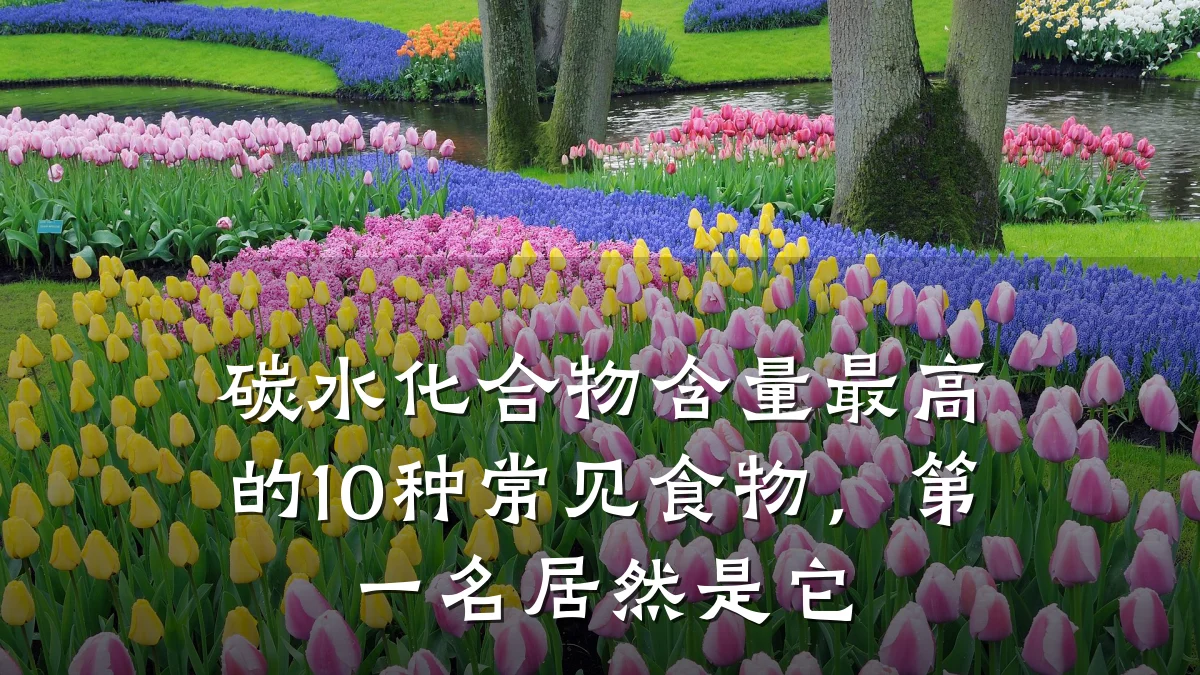 碳水化合物含量最高的10种常见食物,第一名居然是它