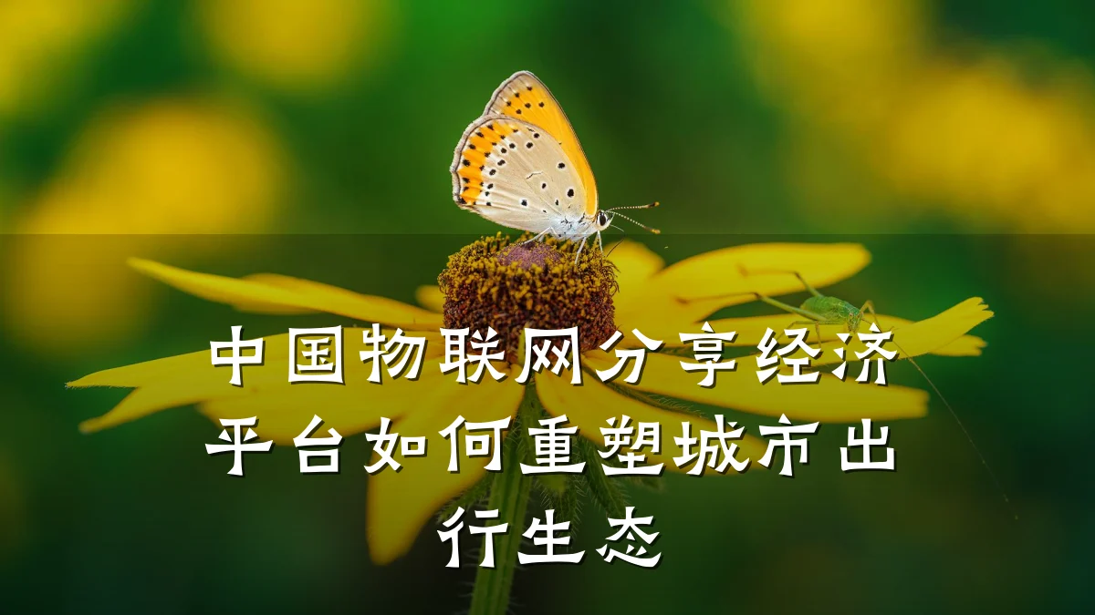 中国物联网分享经济平台如何重塑城市出行生态
