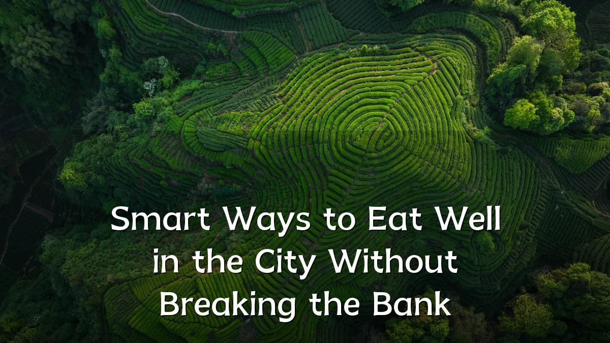 Smart Ways to Eat Well in the City Without Breaking the Bank