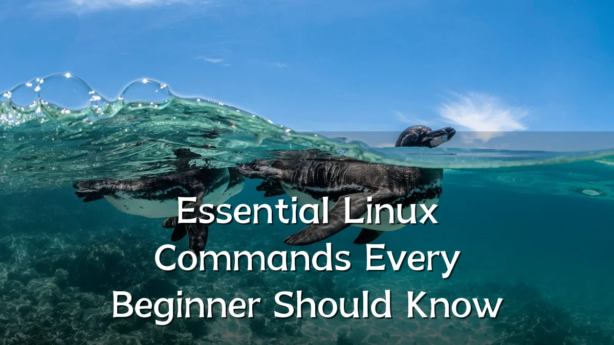 Essential Linux Commands Every Beginner Should Know