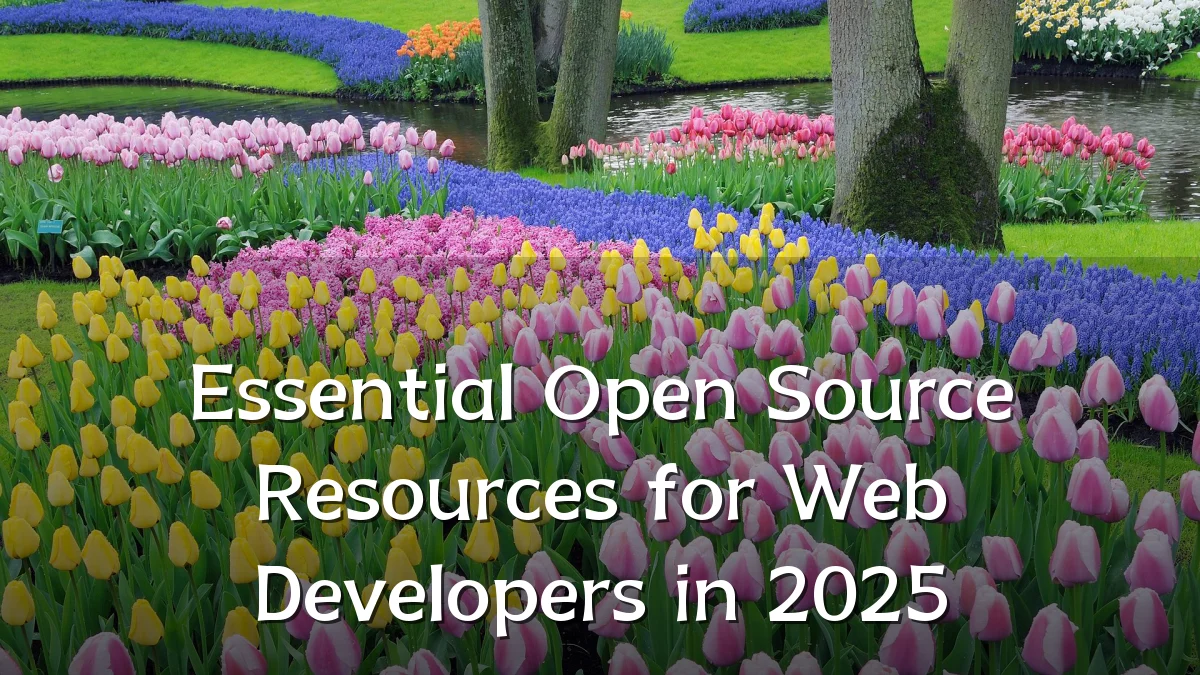 Essential Open Source Resources for Web Developers in 2025