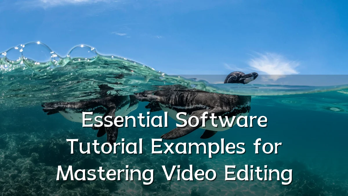 Essential Software Tutorial Examples for Mastering Video Editing