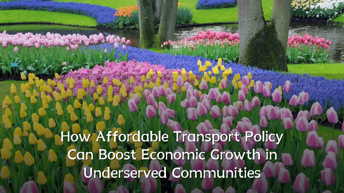 How Affordable Transport Policy Can Boost Economic Growth in Underserved Communities