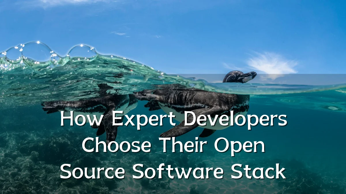 How Expert Developers Choose Their Open Source Software Stack