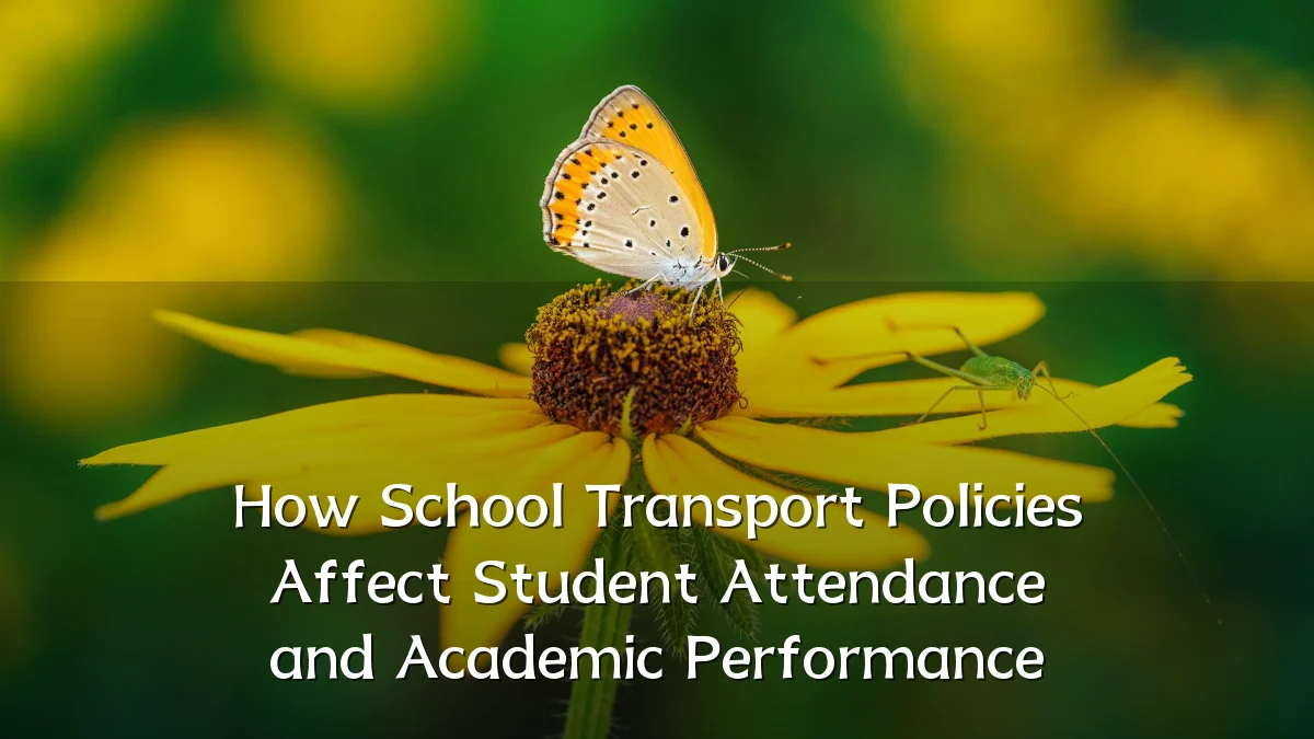 How School Transport Policies Affect Student Attendance and Academic Performance