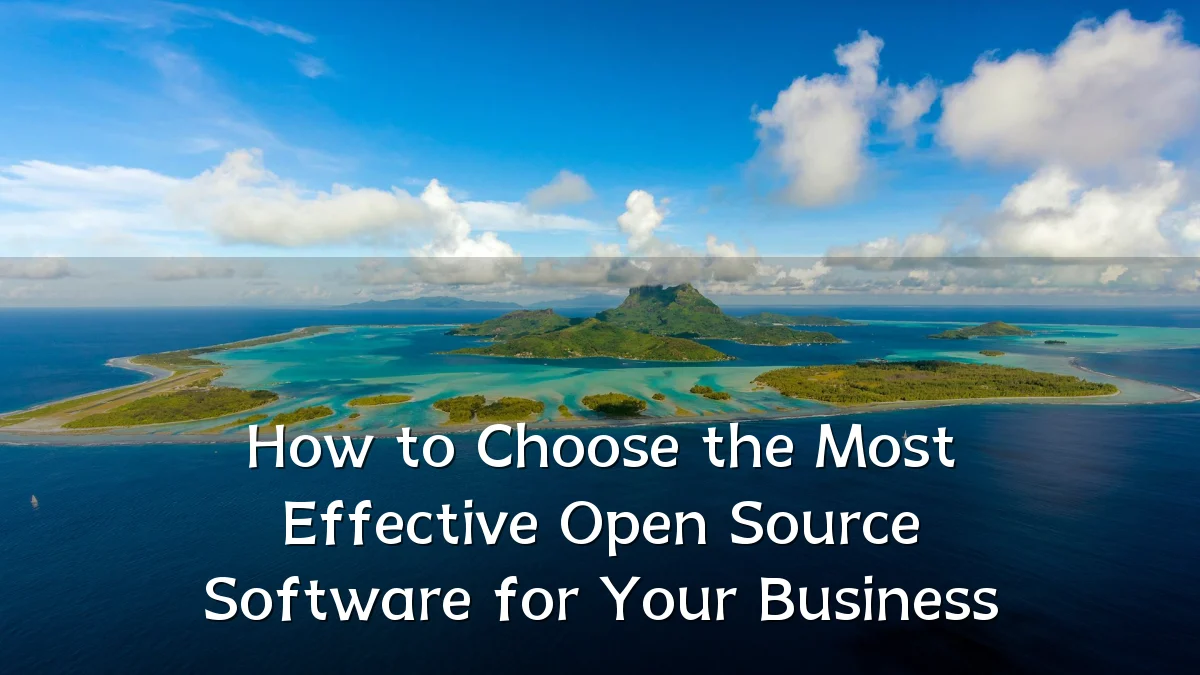 How to Choose the Most Effective Open Source Software for Your Business