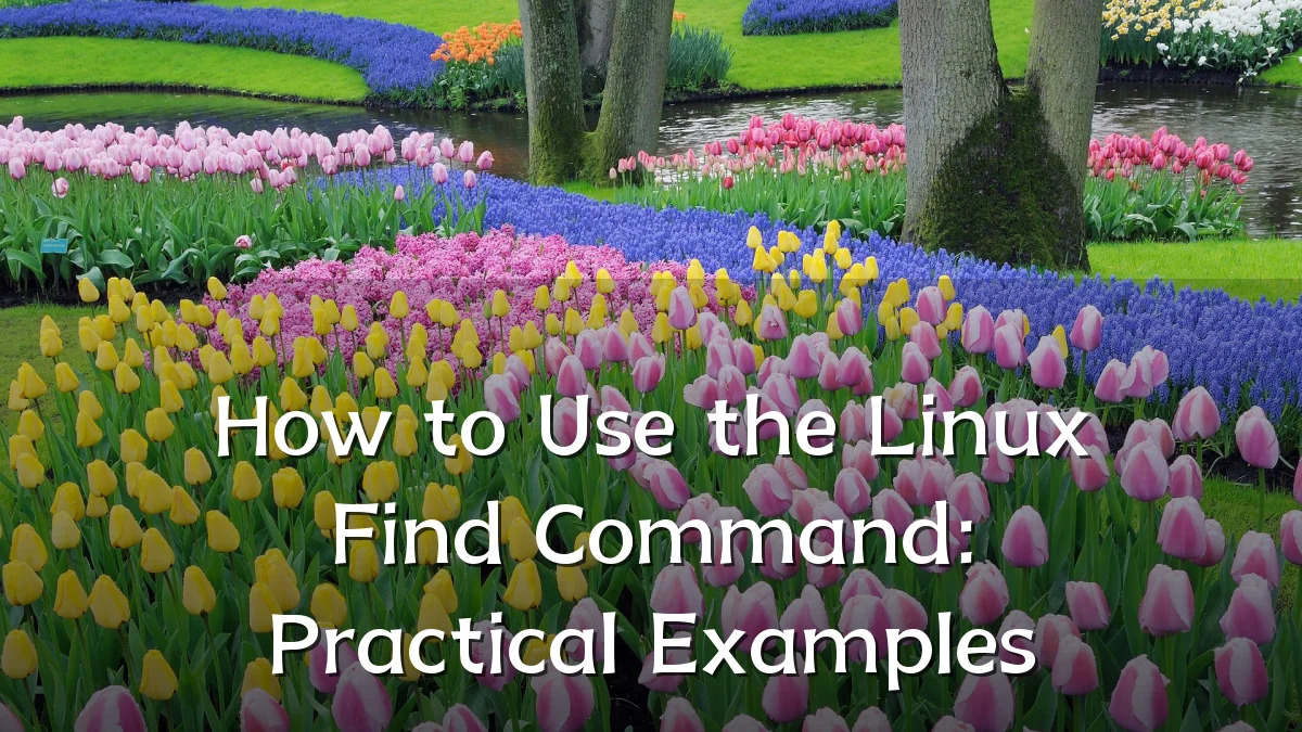 How to Use the Linux Find Command: Practical Examples
