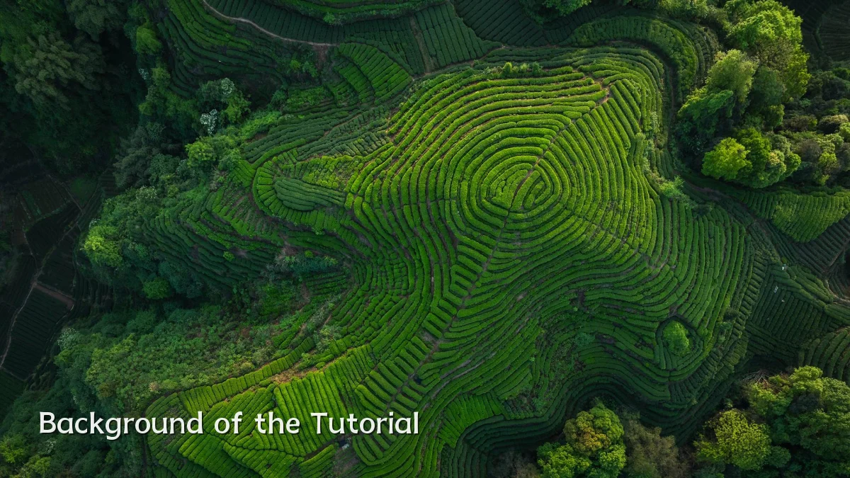 Background of the Tutorial