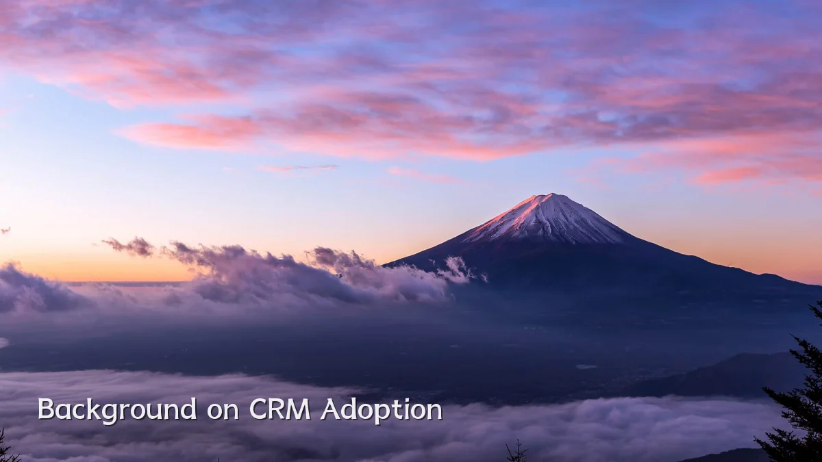 Background on CRM Adoption