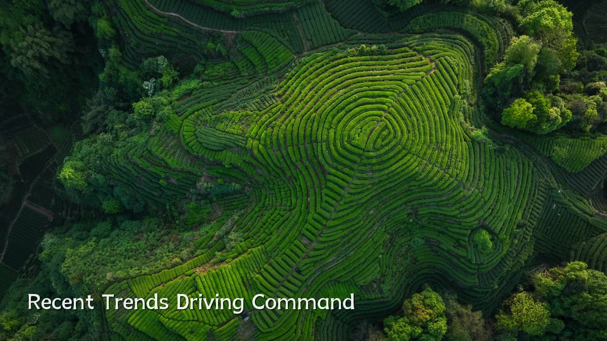 Recent Trends Driving Command