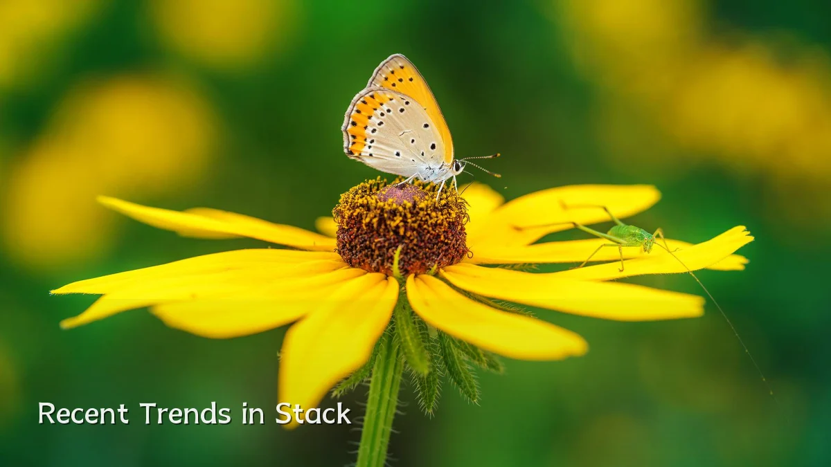 Recent Trends in Stack