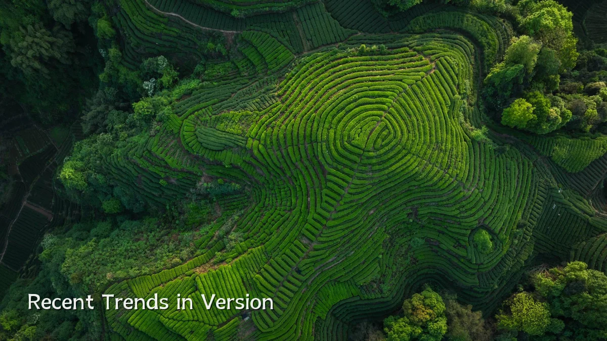 Recent Trends in Version