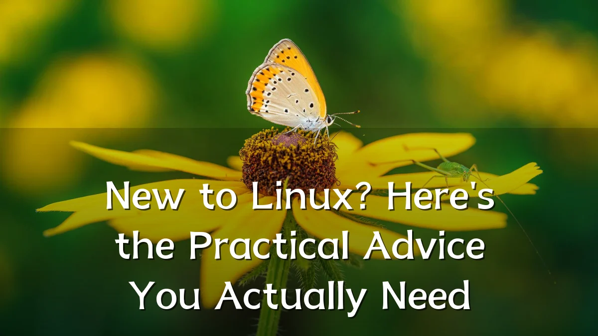New to Linux? Here's the Practical Advice You Actually Need
