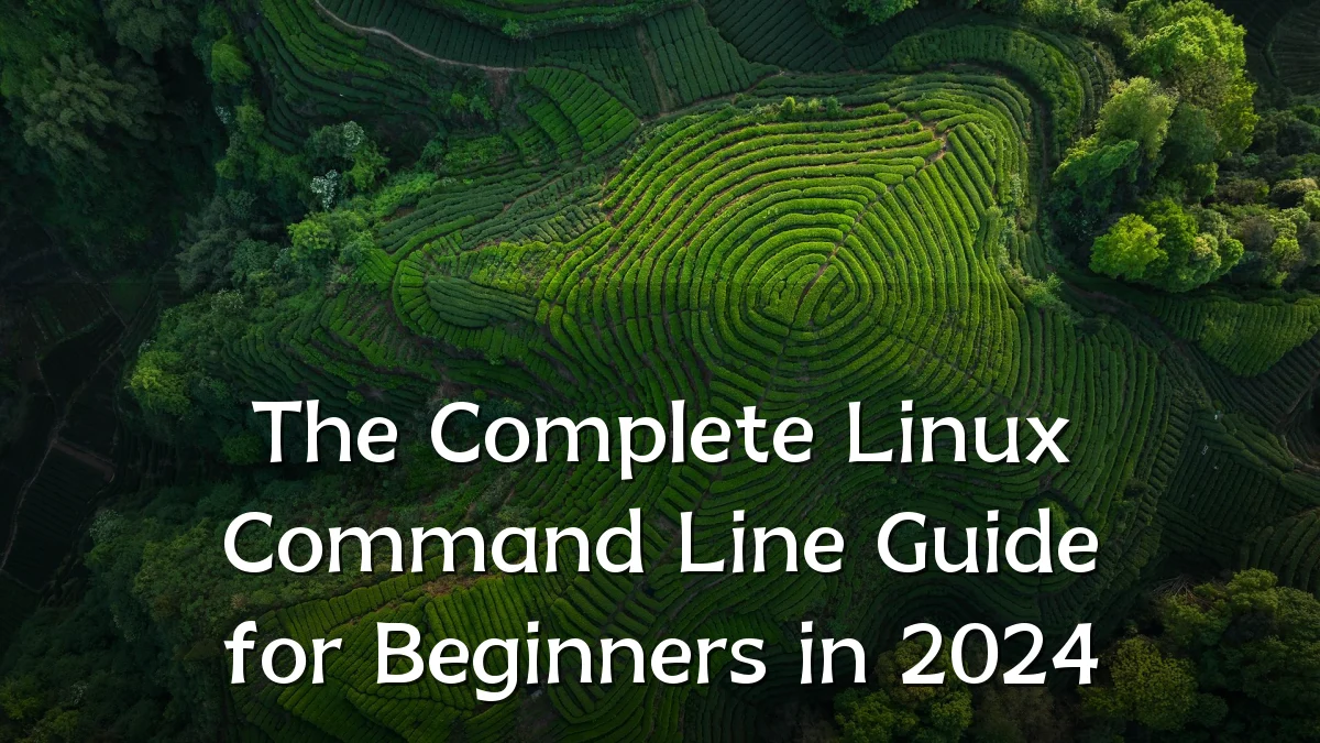 The Complete Linux Command Line Guide for Beginners in 2024