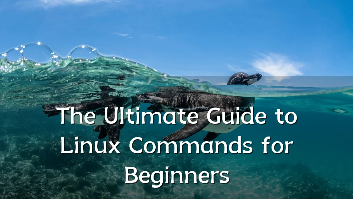 The Ultimate Guide to Linux Commands for Beginners