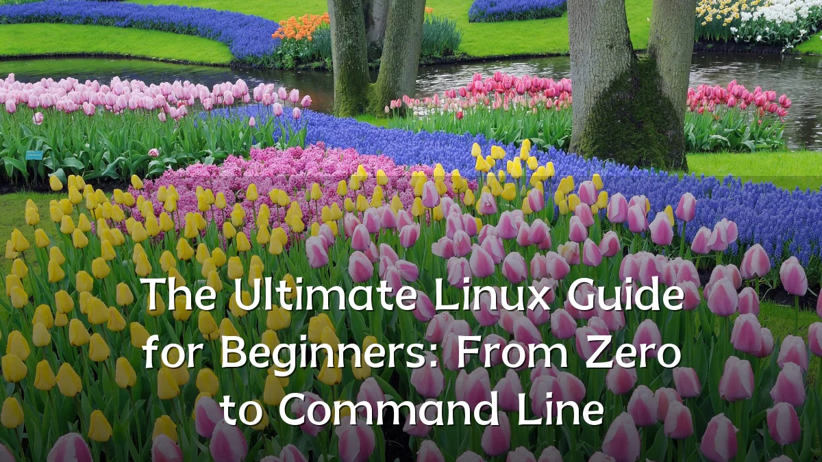 The Ultimate Linux Guide for Beginners: From Zero to Command Line