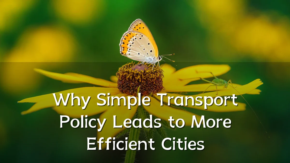 Why Simple Transport Policy Leads to More Efficient Cities
