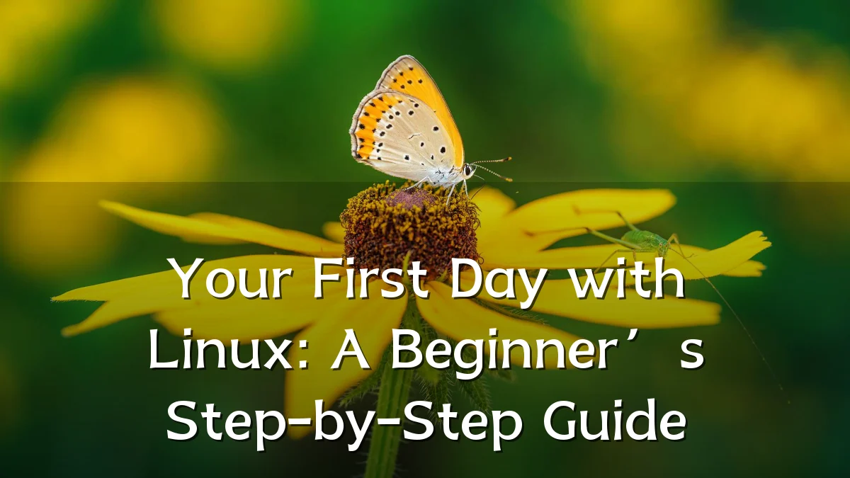 Your First Day with Linux: A Beginner’s Step-by-Step Guide