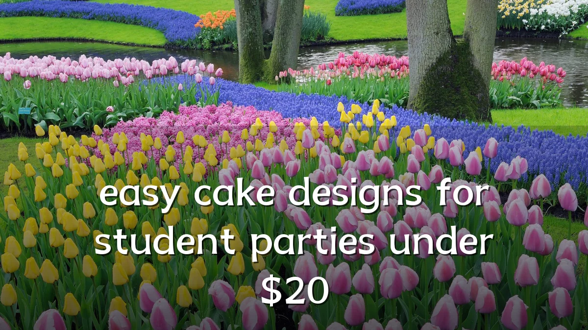 easy cake designs for student parties under $20