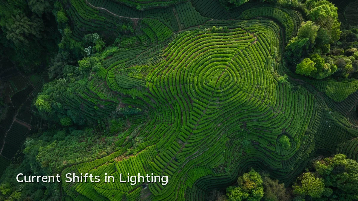 Current Shifts in Lighting