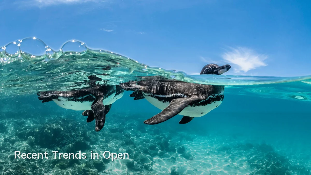 Recent Trends in Open