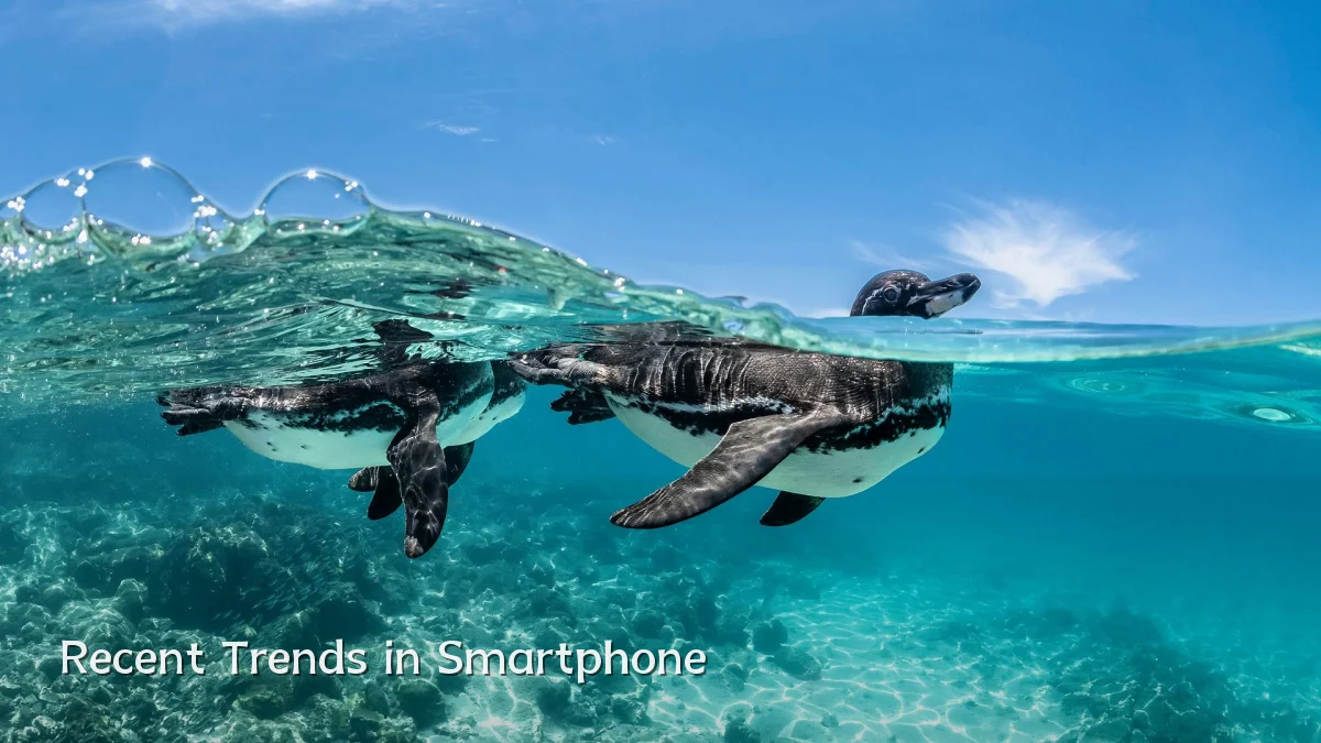 Recent Trends in Smartphone