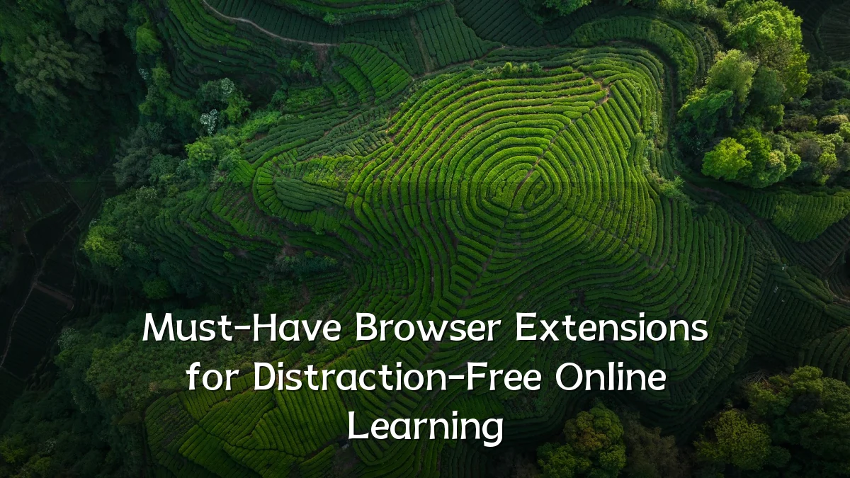 Must-Have Browser Extensions for Distraction-Free Online Learning