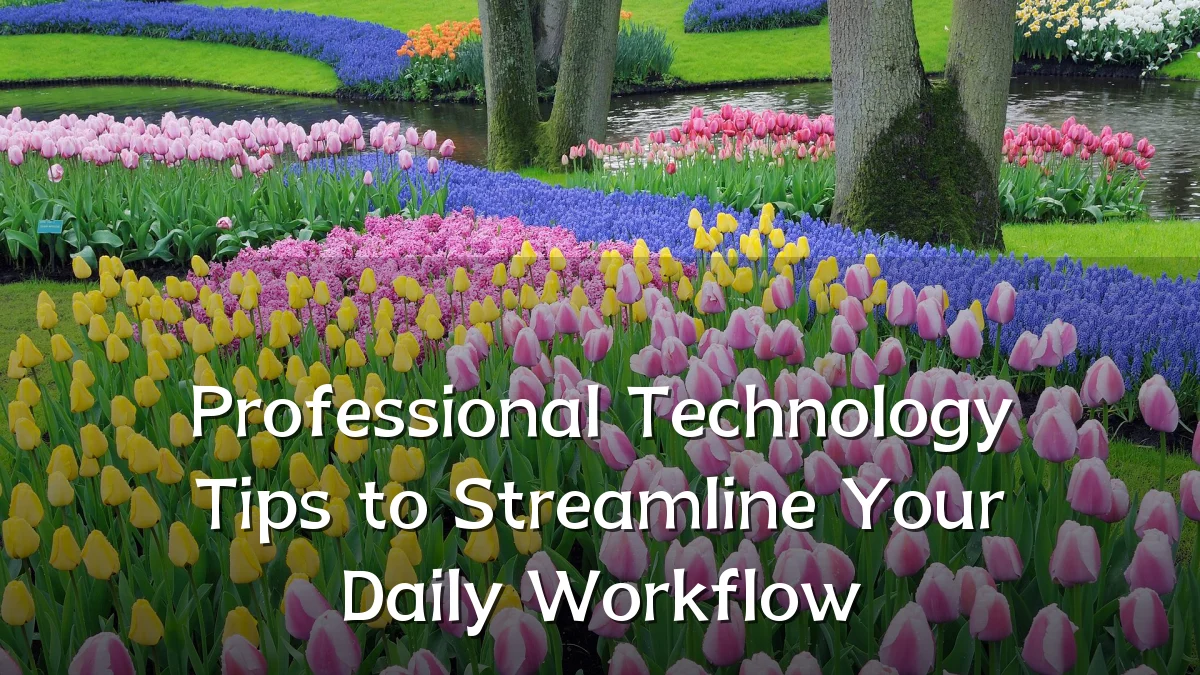 Professional Technology Tips to Streamline Your Daily Workflow