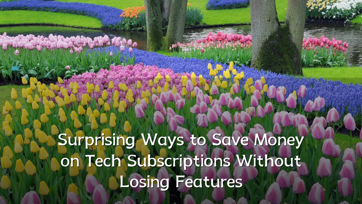 Surprising Ways to Save Money on Tech Subscriptions Without Losing Features