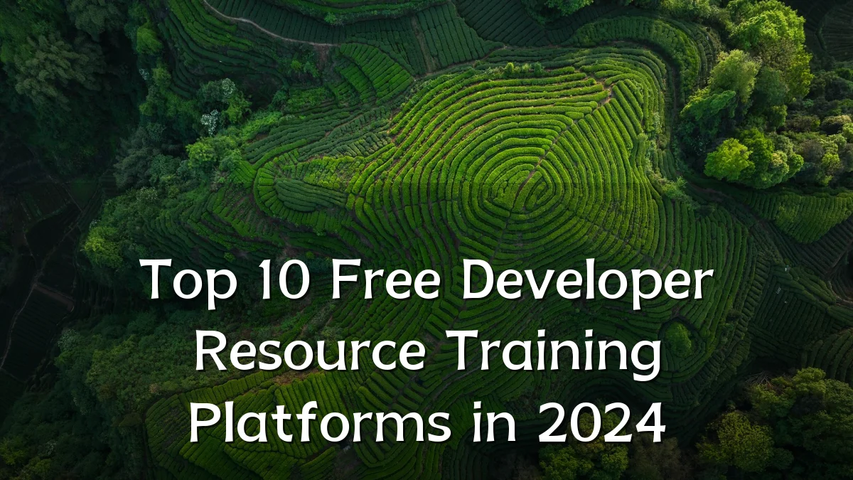 Top 10 Free Developer Resource Training Platforms in 2024