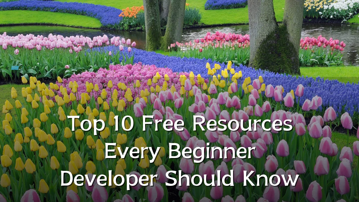 Top 10 Free Resources Every Beginner Developer Should Know