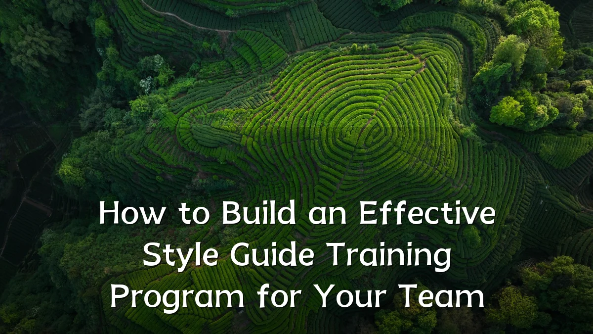 How to Build an Effective Style Guide Training Program for Your Team