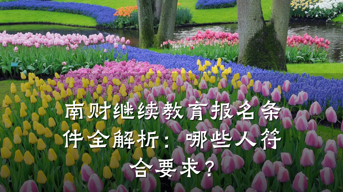 南财继续教育报名条件全解析：哪些人符合要求？