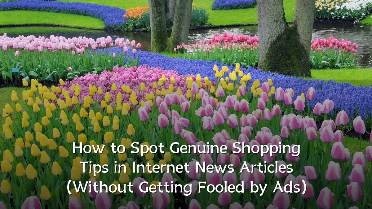 How to Spot Genuine Shopping Tips in Internet News Articles (Without Getting Fooled by Ads)