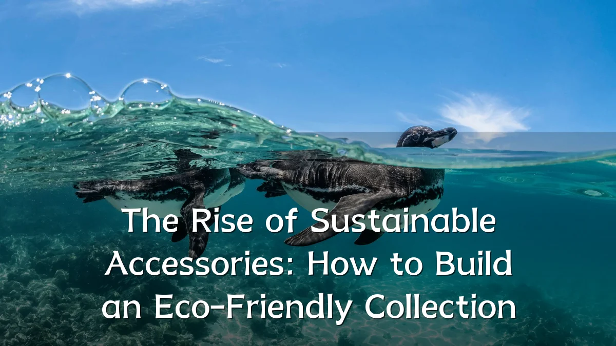 The Rise of Sustainable Accessories: How to Build an Eco-Friendly Collection