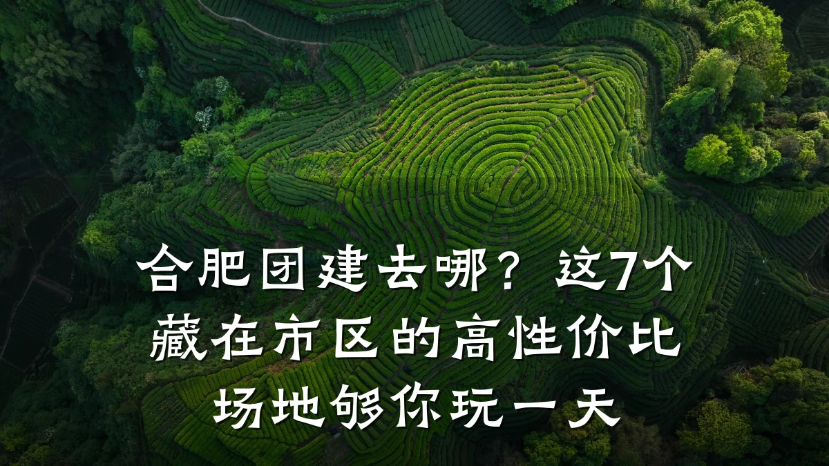合肥团建去哪?这7个藏在市区的高性价比场地够你玩一天